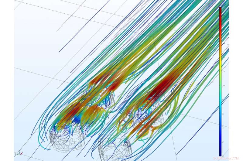 Ediacaran  Dinner Party : Scientists Reveal Ancient Feeding Dynamics via Computer Modeling