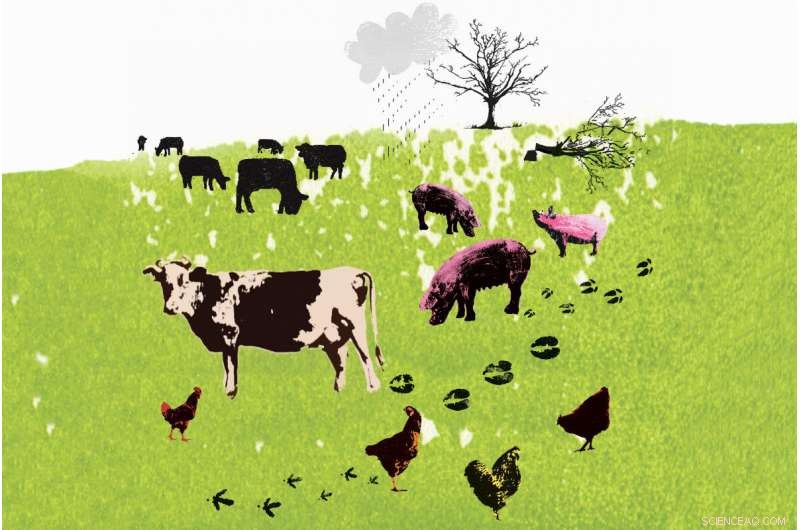 Reevaluating Our Duty: Why Animals Deserve Equal Moral Consideration