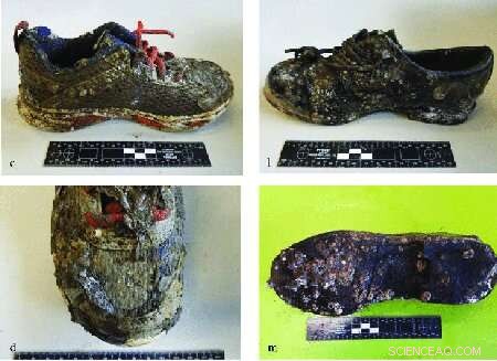 Determining Underwater Time of Death: Barnacle Growth as a Forensic Tool