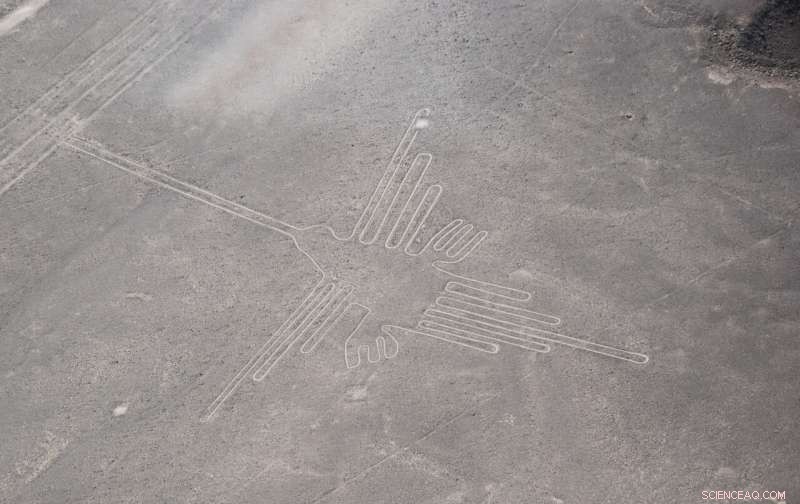 Revealing the Mystery of Peru’s Nasca Bird Lines: New Scientific Insights