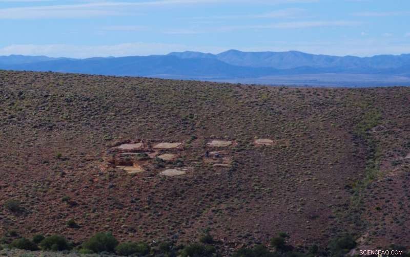 New Study Confirms Ancient Ediacaran Animals Were Mobile in Search of Food