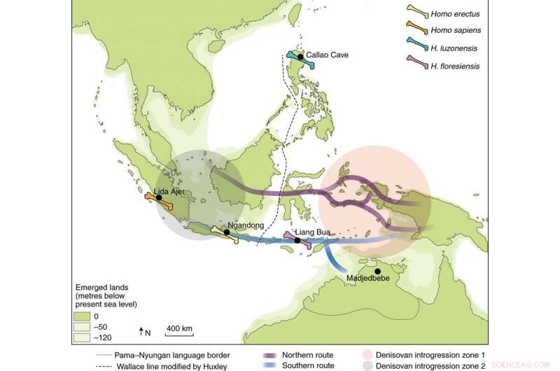 New Research Reveals Greater Numbers of Early Australian Migrants and Their Intentional Journeys