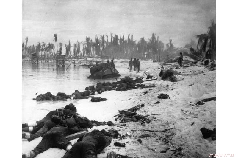 30+ WWII US Service Members  Graves Discovered on Remote Pacific Island