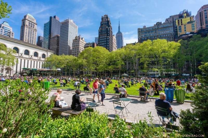Do Urban Parks Reduce Crime? Exploring the Evidence