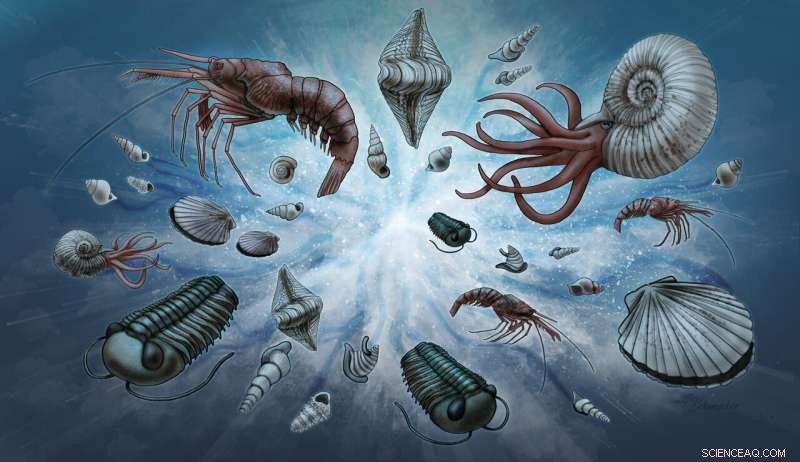 Discover the Universal Pattern in Earth s Fossil Record: A Groundbreaking Study