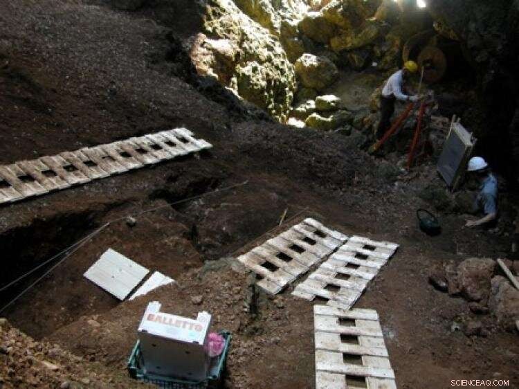 Neanderthals Innovated Stone Tool Hafting with Resin Glue