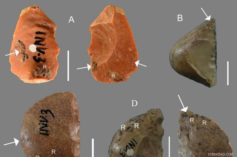 Neanderthals Innovated Stone Tool Hafting with Resin Glue