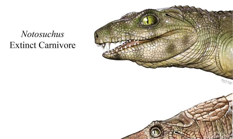 Scientists Discover Vegetarian Diets in Ancient Crocodyliforms