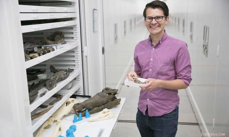 Scientists Discover Vegetarian Diets in Ancient Crocodyliforms