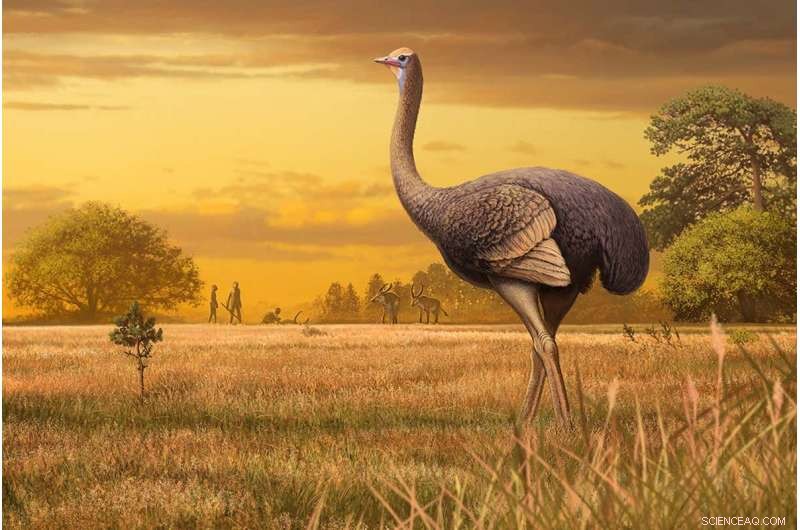 Ancient Giant Birds: 1,000‑Pound, 10‑Foot Avian Giants That Once Roamed Europe