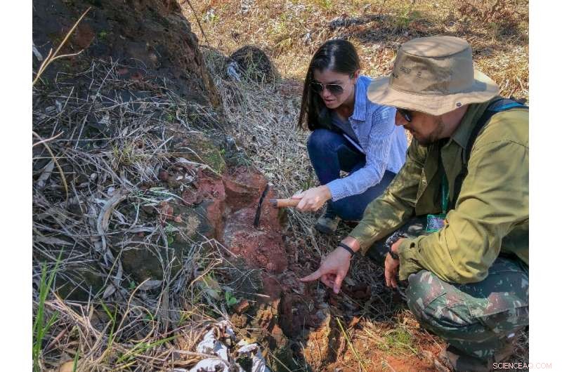 New 90‑Million‑Year‑Old Desert‑Dwelling Carnivorous Dinosaur Discovered in Brazil