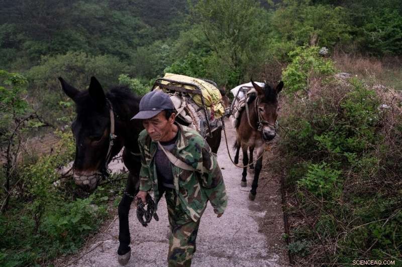 Rebuilding the Great Wall: Challenges, Controversies, and Conservation Efforts