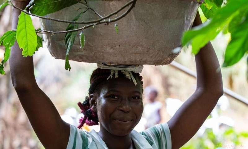 Fairtrade Improves Conditions for African Rural Workers, Yet Leaves Smallholders Behind