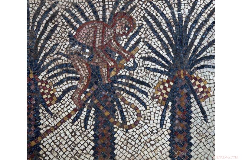 Historic 1,600-Year-Old Mosaic Unveiled: New Insights into Ancient Jewish Life
