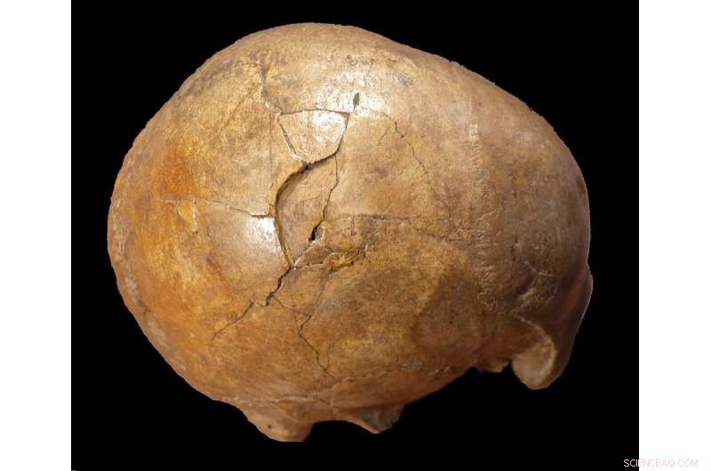 Evidence of Violent Death in Upper Paleolithic Skull: New Paleontological Findings