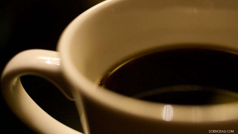 Understanding Uncertainty in Science: Insights for Legislators and Judges