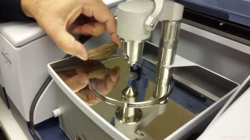 Revealing Secrets of Ancient Burned Bones with Three Advanced Spectroscopic Techniques