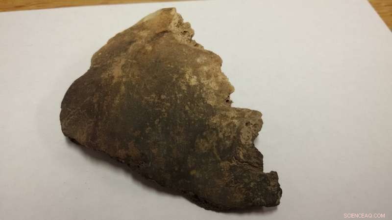 Revealing Secrets of Ancient Burned Bones with Three Advanced Spectroscopic Techniques