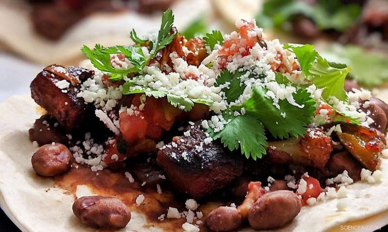 From Street Crime to Entrepreneurship: The Unexpected Success Stories of Former Gang Members