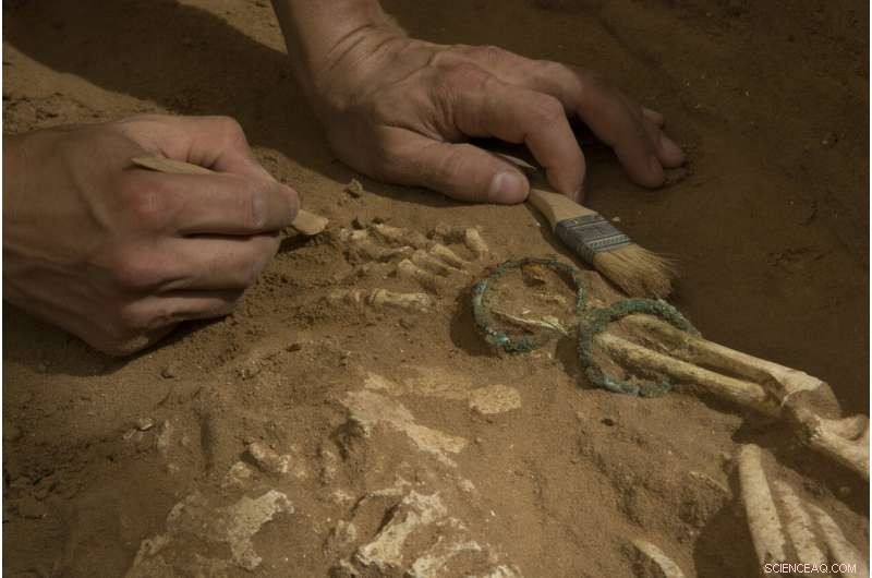 Ancient DNA Study Illuminates the Origins of the Biblical Philistines