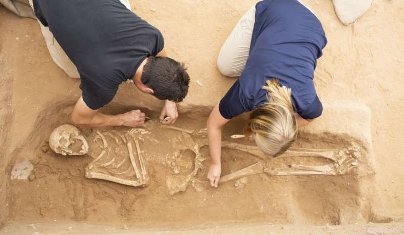 Ancient DNA Study Illuminates the Origins of the Biblical Philistines