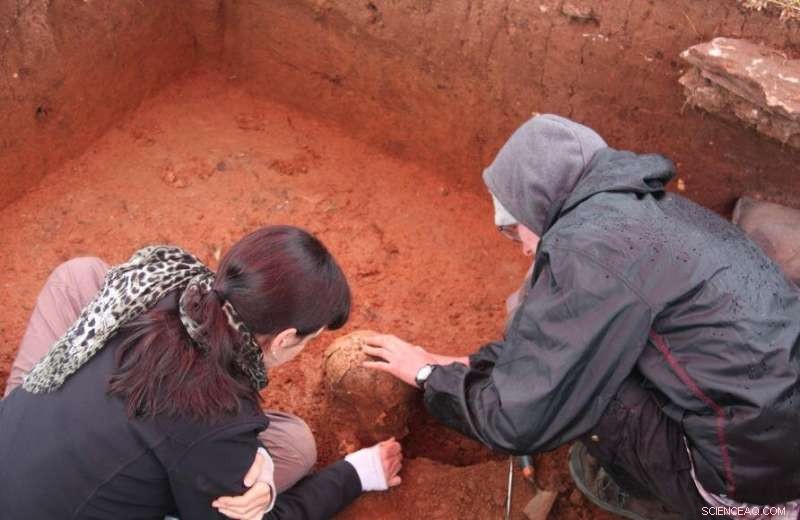 Unveiling the Mysteries of Laos’ Ancient Stone Jars