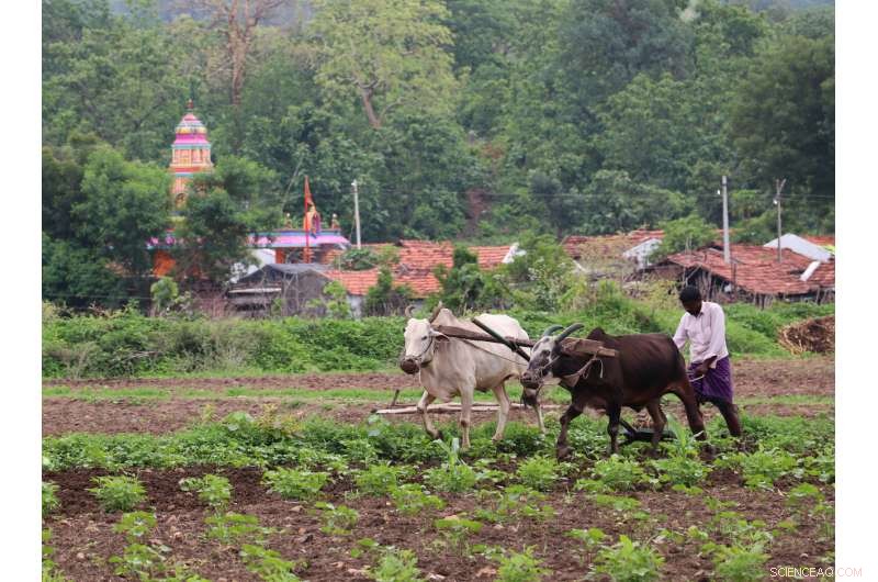 Beyond the Organic Label: Uncovering Ethical Supply Chains and True Impact