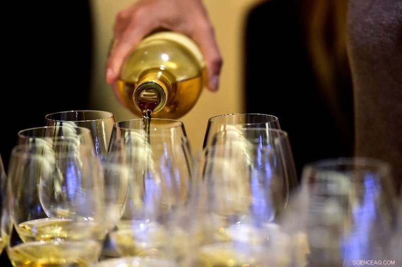 Why Spitting Enhances Wine Tasting: A Professional Insight