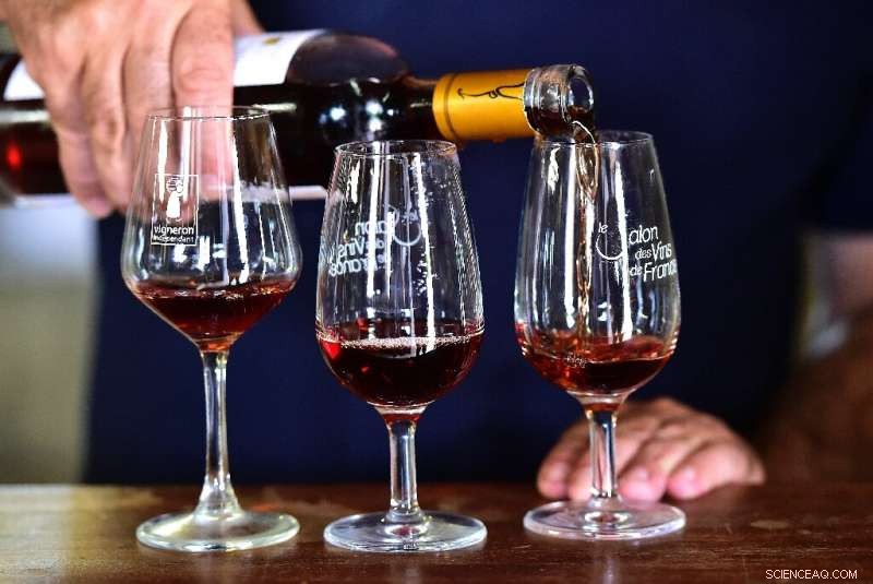 Why Spitting Enhances Wine Tasting: A Professional Insight