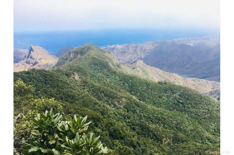 Island Core Discoveries Unlock Secrets of Ancient Maltese Civilization