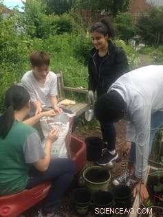 Cultivating Community Roots: NYC Students Grow Critical Consciousness in School Garden