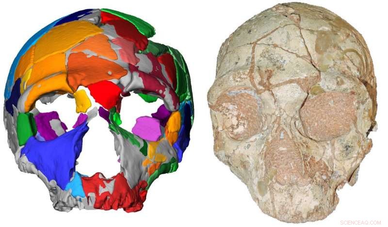 210,000-Year-Old Skull Found Outside Africa Resets Human Migration Timeline