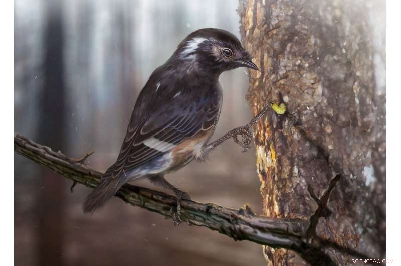 99‑Million‑Year‑Old Bird Foot with Hyper‑Long Toes Found in Amber