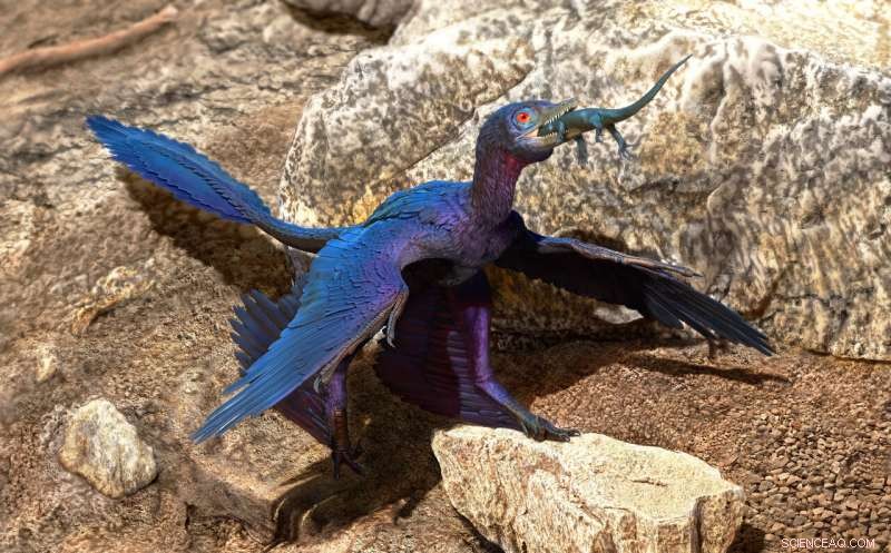 Discovery: New Lizard Species Unearthed Inside Cretaceous Microraptor s Stomach