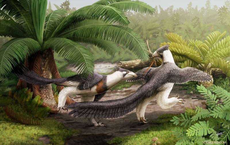 North America s Oldest Bird‑Like Dinosaur Unearthed: 150‑Million‑Year‑Old Discovery