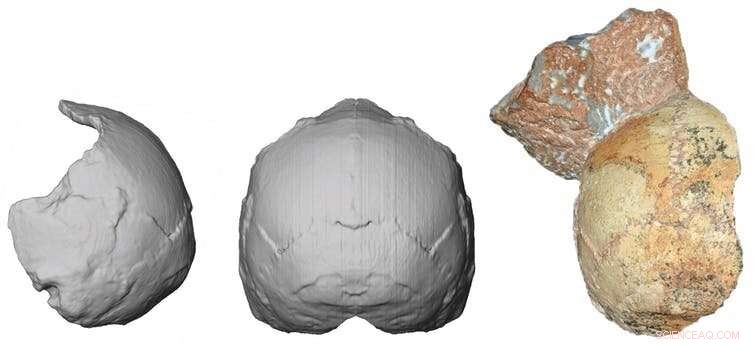210,000‑Year‑Old Human Skull Unearthed in Greece, Earliest Homo Sapiens Fossil Outside Africa