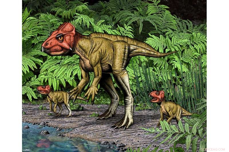 Bipedal Chinese Horned Dinosaur, Auroraceratops, Reveals Triceratops Relatives Walked on Two Legs
