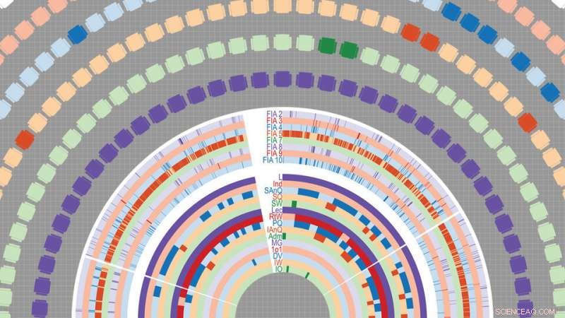 Genetics-Inspired Method Enhances Classroom Analysis for STEM Education