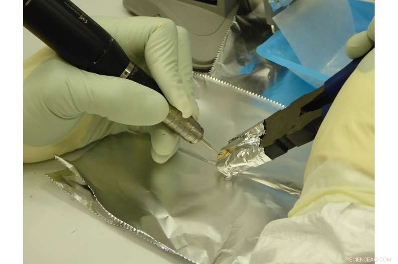 Genome Analysis Traces the Spread and Evolution of the Roman-era Pandemic