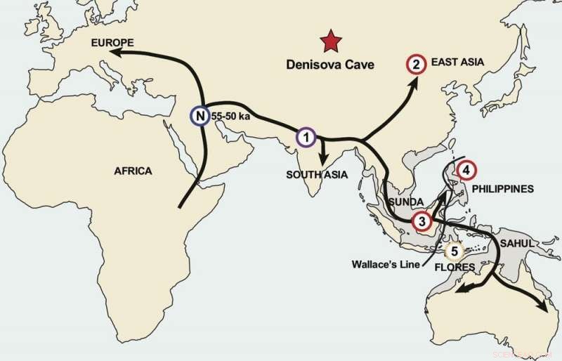 Ancient Human Migration: How Southeast Asia Served as a Corridor for Early Modern Humans
