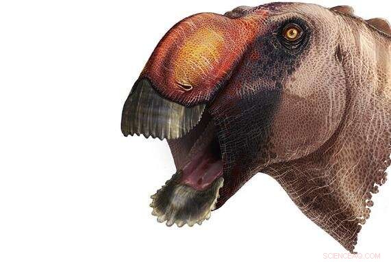 New Duck-Billed Dinosaur Species Uncovered in Texas: Aquilarhinus palimentus