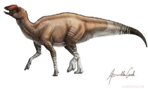 New Duck-Billed Dinosaur Species Uncovered in Texas: Aquilarhinus palimentus