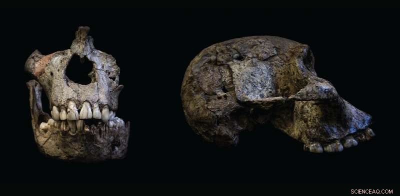 New Study Shows Early Humans Breastfed Their Children for Up to 6 Years, 2 Million Years Ago
