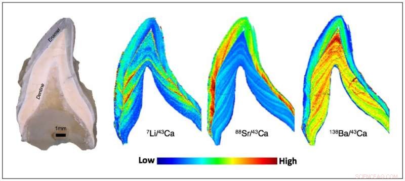 New Study Shows Early Humans Breastfed Their Children for Up to 6 Years, 2 Million Years Ago