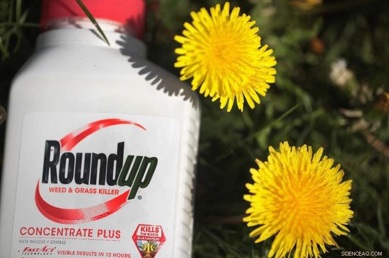 Judge Reduces Jury Award in Monsanto Roundup Cancer Litigation