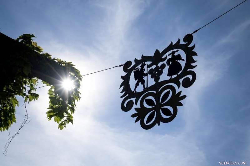 Swiss Specialties: From Legendary Chocolate and Cheese to Emerging Wine Excellence