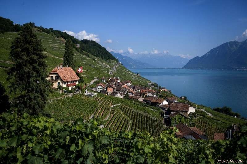 Swiss Specialties: From Legendary Chocolate and Cheese to Emerging Wine Excellence