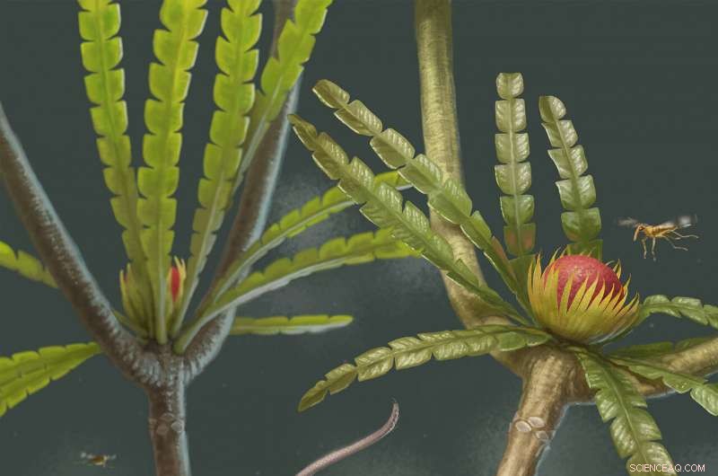 Microdocodon gracilis: Jurassic Fossil Illuminates Early Mammal Swallowing Mechanics