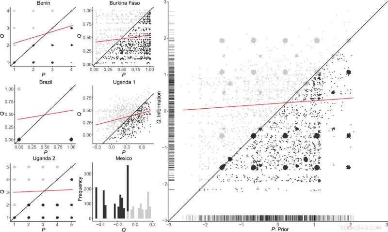 How Information Shapes Voter Decisions: New Study Uncovers Key Findings