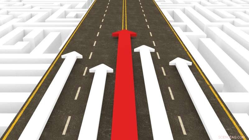 How Domestic Firms Can Thrive When Foreign Competitors Enter the Market